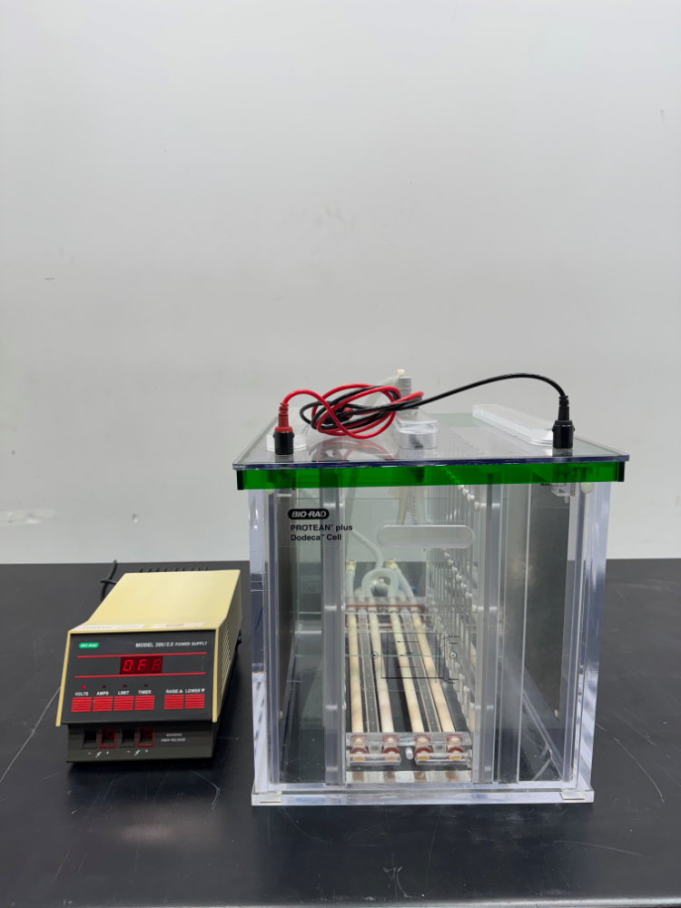 Image of Bio-Rad 200 2 Electrophoresis Power Supply